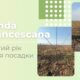 tonda francescana