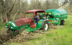 Comby Potatura Ulivo