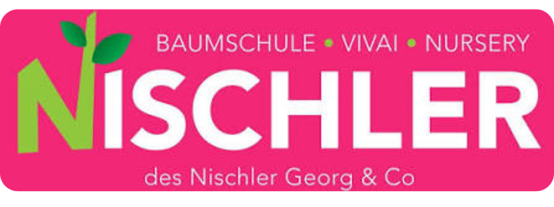 Nischler